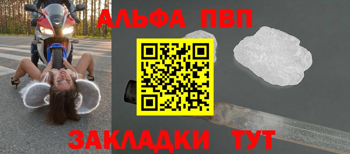 A PVP СК КРИС Смоленск