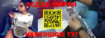 индика Заводоуковск