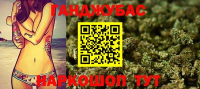 индика Заводоуковск