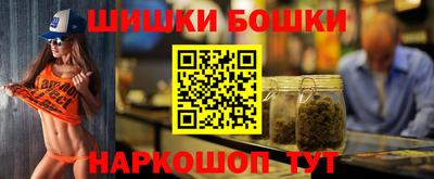 индика Заводоуковск