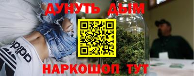 индика Заводоуковск