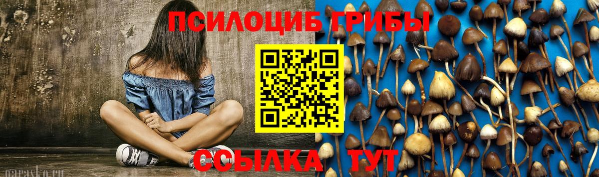 Смоленск  Галлюциногенные грибы Cubensis  Вход с VPN 